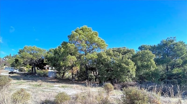 Malaga - Estepona - 500m2