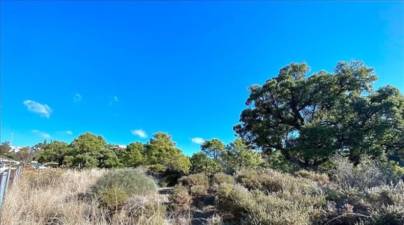 Malaga - Estepona - 500m2