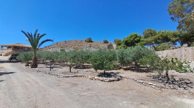 Murcia - Águilas - 11000m2