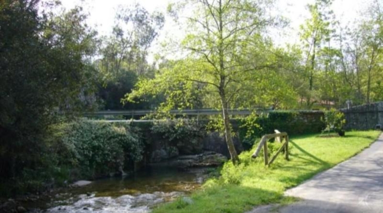 Asturias - Llanes - 7000m2
