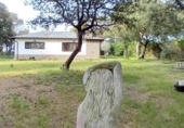 Xalet independent amb terreny en venda a la España, Seva, ref.: TR309804 foto