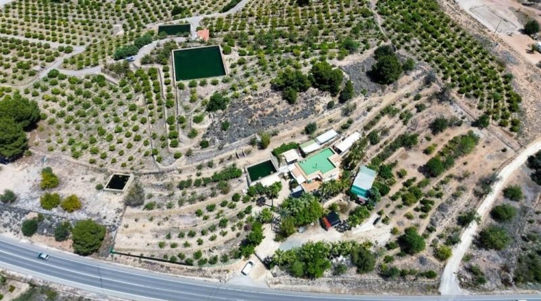 Alicante - Ла-Нусия - 8635m2