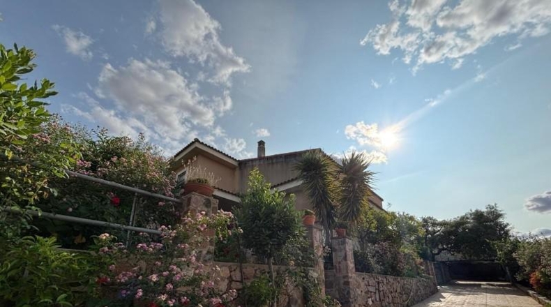 Caceres - Cáceres - 1000m2