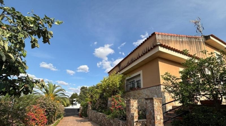 Caceres - Cáceres - 1000m2