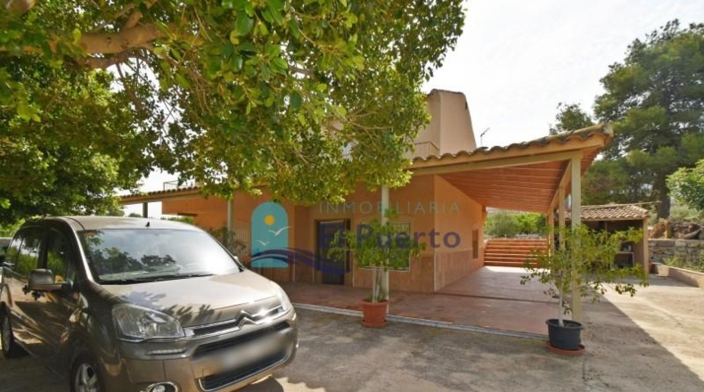Murcia - Alhama de Murcia - 40000m2
