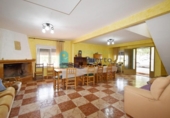 Casa de campo con terreno en venta en la España, Alhama de Murcia, ref: TR329924 foto