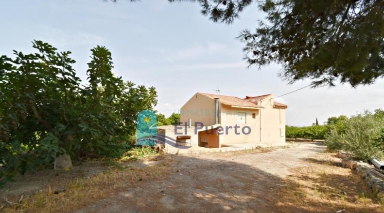 Murcia - Alhama de Murcia - 40000m2