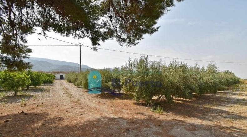 Murcia - Alhama de Murcia - 40000m2