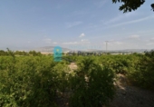 Casa de campo con terreno en venta en la España, Alhama de Murcia, ref: TR329924 foto