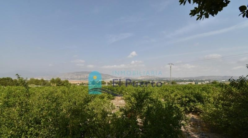 Murcia - Alhama de Murcia - 40000m2