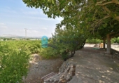 Casa de campo con terreno en venta en la España, Alhama de Murcia, ref: TR329924 foto