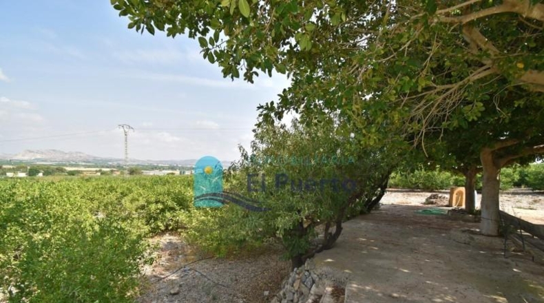 Murcia - Alhama de Murcia - 40000m2
