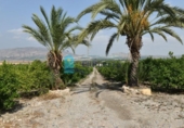 Casa de campo con terreno en venta en la España, Alhama de Murcia, ref: TR329924 foto