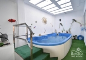 Chalet independiente con terreno en venta en la España, Los Montesinos, ref: TR333602 foto