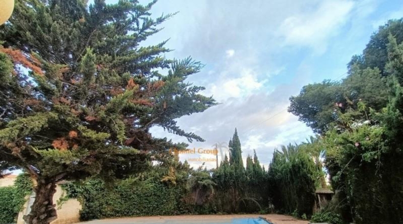 Alicante - Elche - 180m2