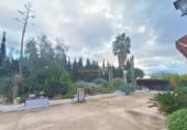 Casa de camp amb terreny en venda a la España, Elx, ref.: TR141796 foto