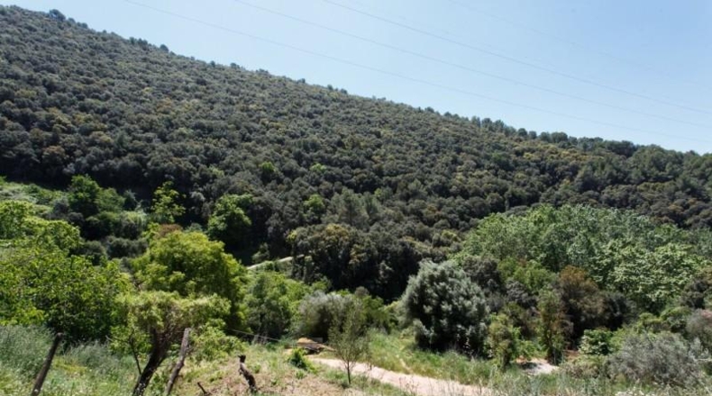 Barcelona - Riells del Fai - 50000m2