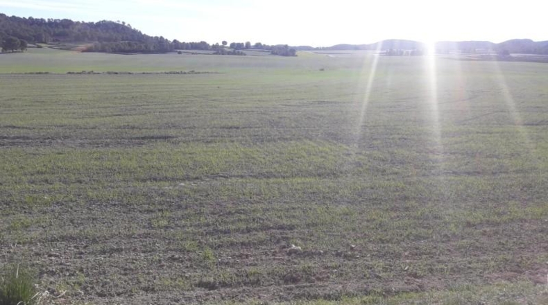 Murcia - Moratalla - 1050000m2