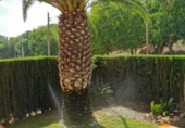 Xalet independent amb terreny en venda a la España, Castellvell del Camp, ref.: TR133566 foto