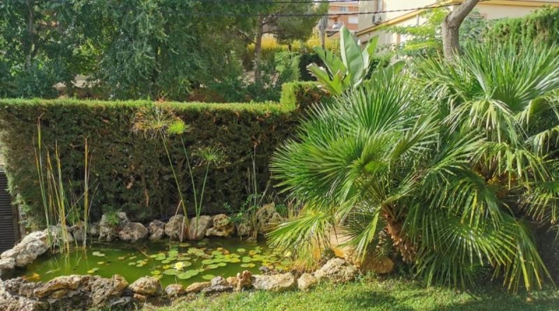 Tarragona - Castellvell del Camp - 700m2