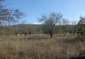Xalet independent amb terreny en venda a la España, Ontinyent, ref.: TR134303 foto