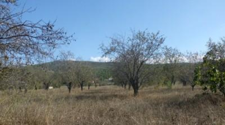 Valencia - Onteniente - 69000m2