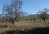 Xalet independent amb terreny en venda a la España, Ontinyent, ref.: TR134303 foto