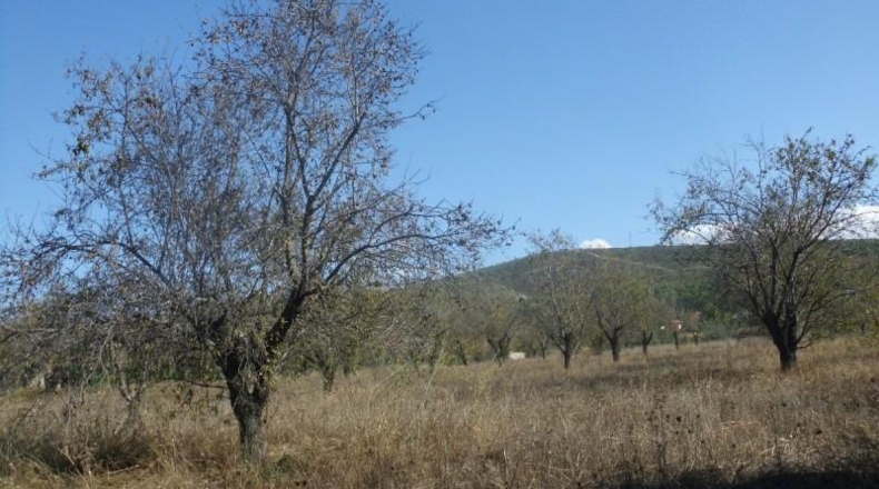 Valencia - Onteniente - 69000m2