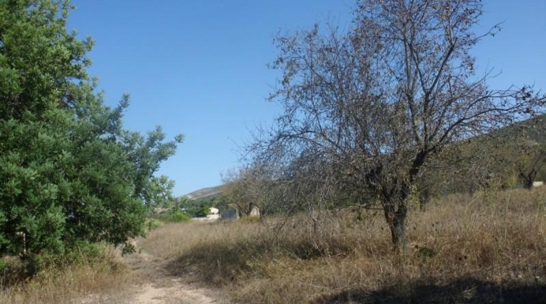Valencia - Onteniente - 69000m2