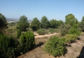 Xalet independent amb terreny en venda a la España, Ontinyent, ref.: TR134303 foto