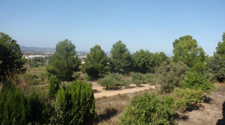 Valencia - Onteniente - 69000m2