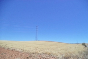Paracuellos de Jarama 15000&nbsp;m² 