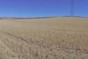 Paracuellos de Jarama 15000&nbsp;m² 