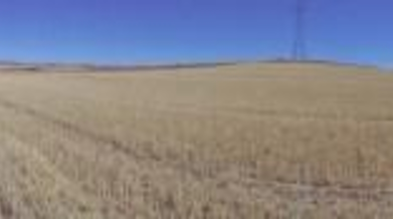 Comunidad de Madrid - Paracuellos de Jarama - 15000m2