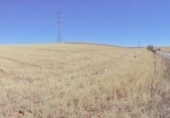 Land suitable for development for sale on España, Paracuellos de Jarama, ref: TR114796 photo