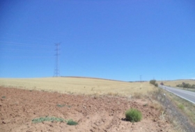 Paracuellos de Jarama 15000&nbsp;m² 