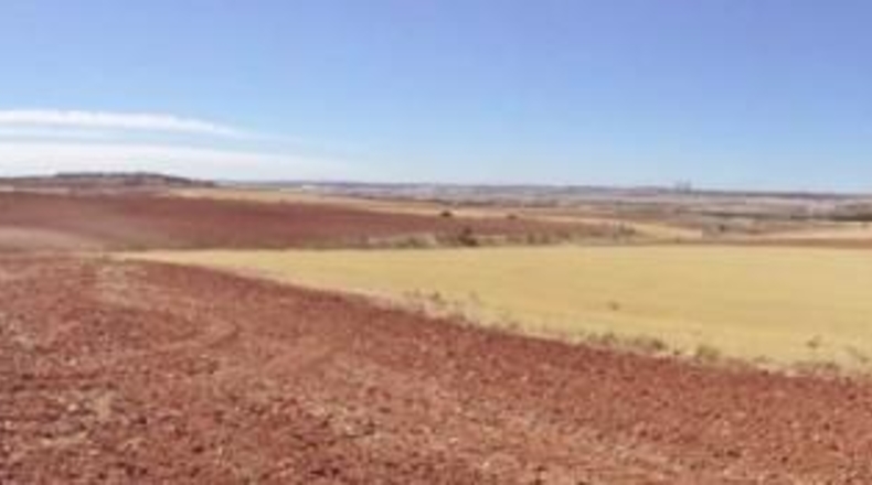 Comunidad de Madrid - Paracuellos de Jarama - 15000m2