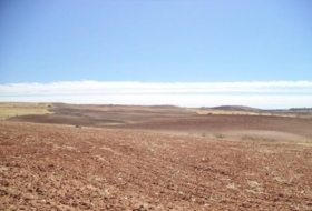 Paracuellos de Jarama 15000&nbsp;m² 