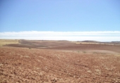 Land suitable for development for sale on España, Paracuellos de Jarama, ref: TR114796 photo