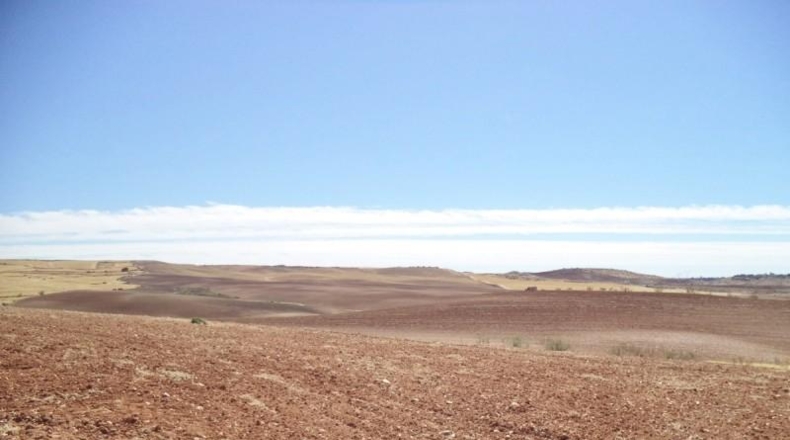 Comunidad de Madrid - Paracuellos de Jarama - 15000m2