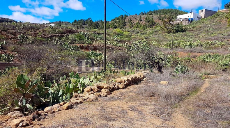 Santa Cruz de Tenerife - Granadilla de Abona - 28000m2