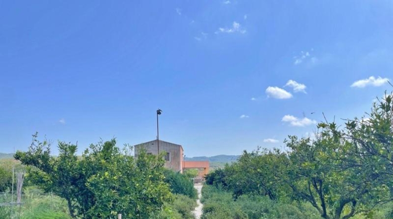 Tarragona - Tortosa - 16000m2