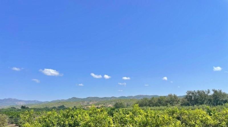 Tarragona - Tortosa - 16000m2
