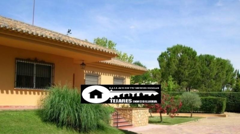 Albacete - Albacete - 2537m2