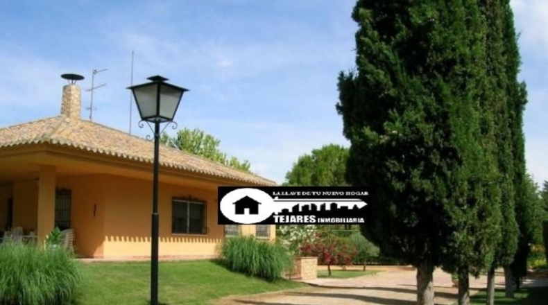 Albacete - Albacete - 2537m2