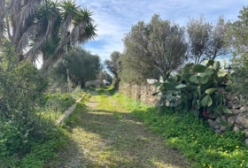 Ciutadella de Menorca 13846&nbsp;m²