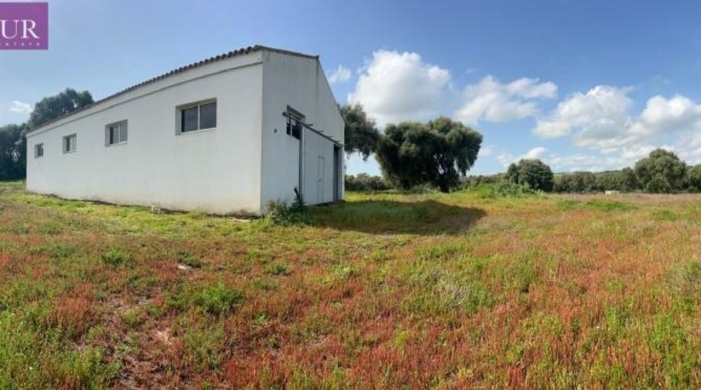 Cádiz - Vejer de la Frontera - 38000m2
