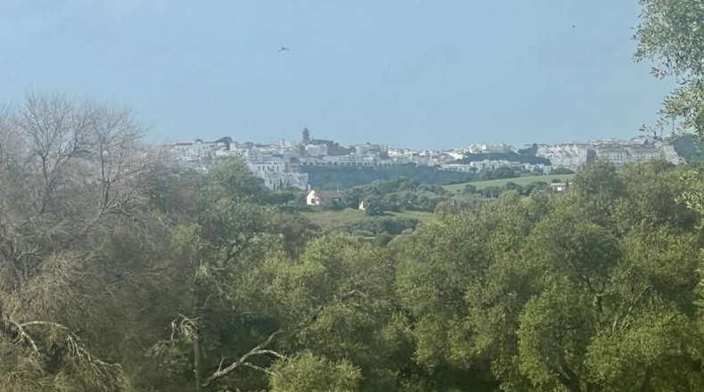 Cádiz - Vejer de la Frontera - 38000m2