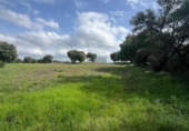 Terreno no urbanizable en venta en la España, Vejer de la Frontera, ref: TR403758 foto