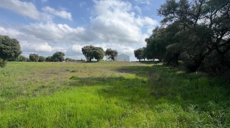 Cádiz - Vejer de la Frontera - 38000m2